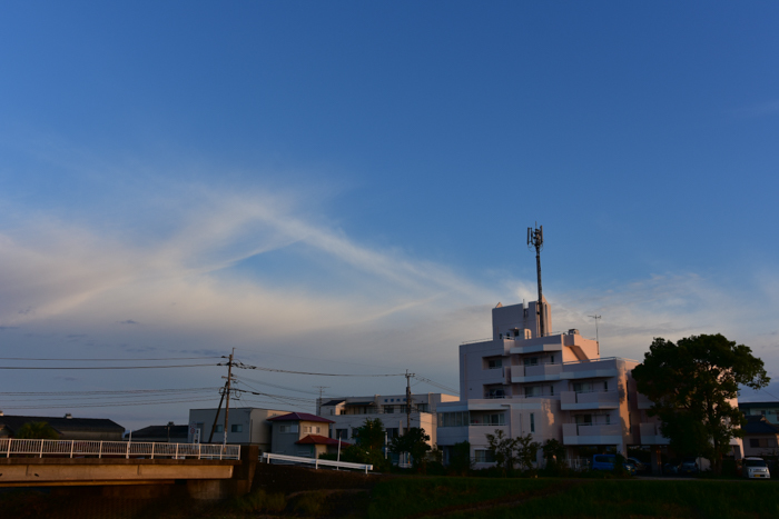 c0049299_21532752.jpg