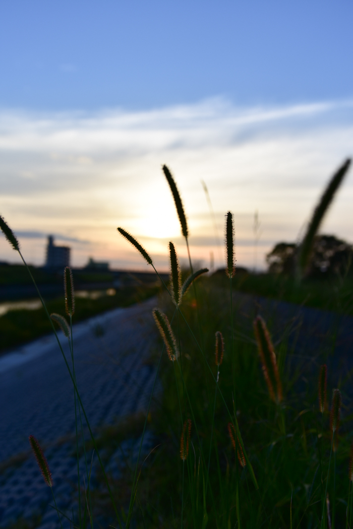 c0049299_21545237.jpg