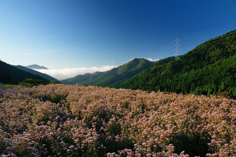f0032011_22183617.jpg