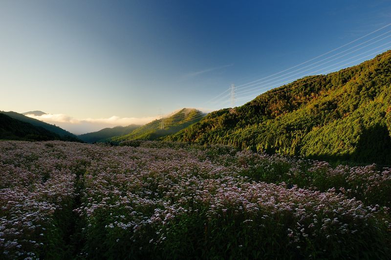 f0032011_22183715.jpg