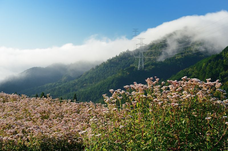 f0032011_22401376.jpg