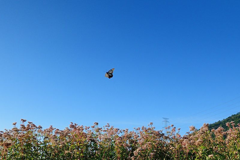 f0032011_22401439.jpg