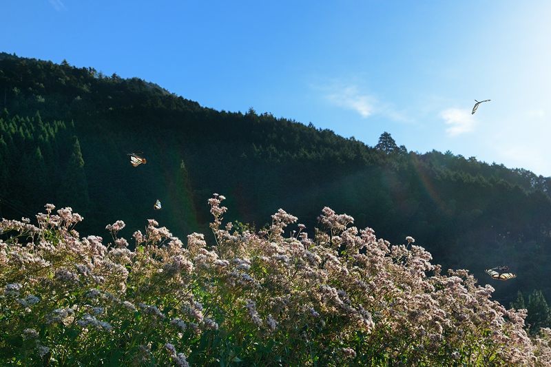 f0032011_22401503.jpg