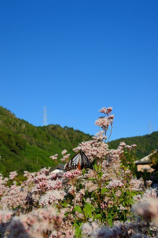f0032011_22401759.jpg