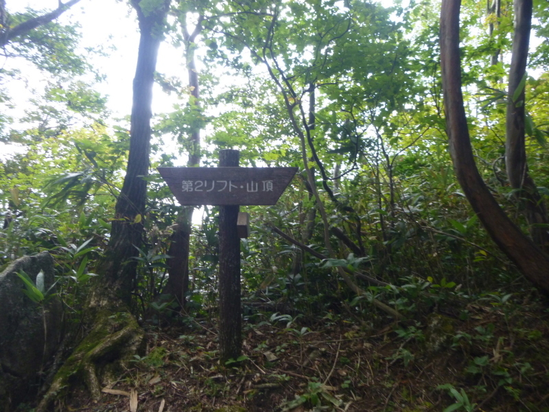 d0170615_07570178.jpg