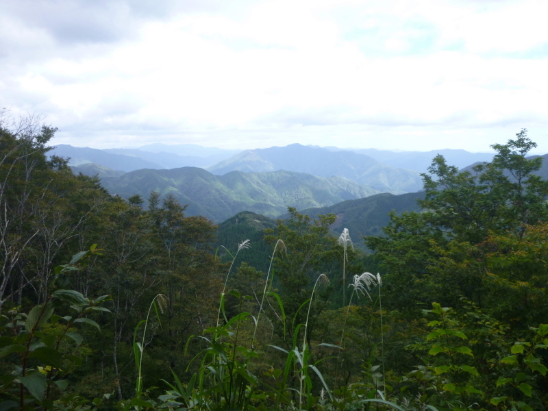 d0170615_07571783.jpg