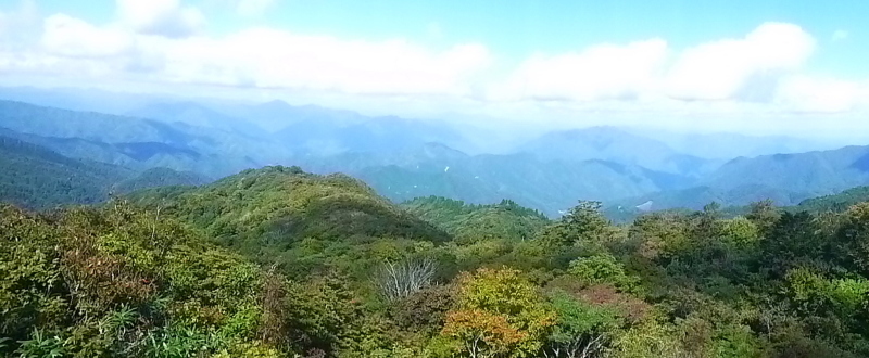d0170615_08003003.jpg