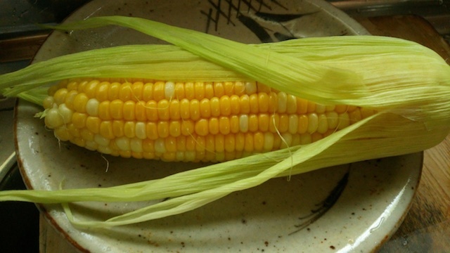 a0293417_17420922.jpg