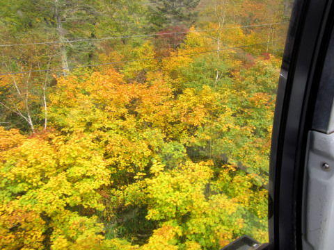 f0002533_09172532.jpg