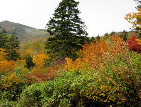 f0002533_09350070.jpg