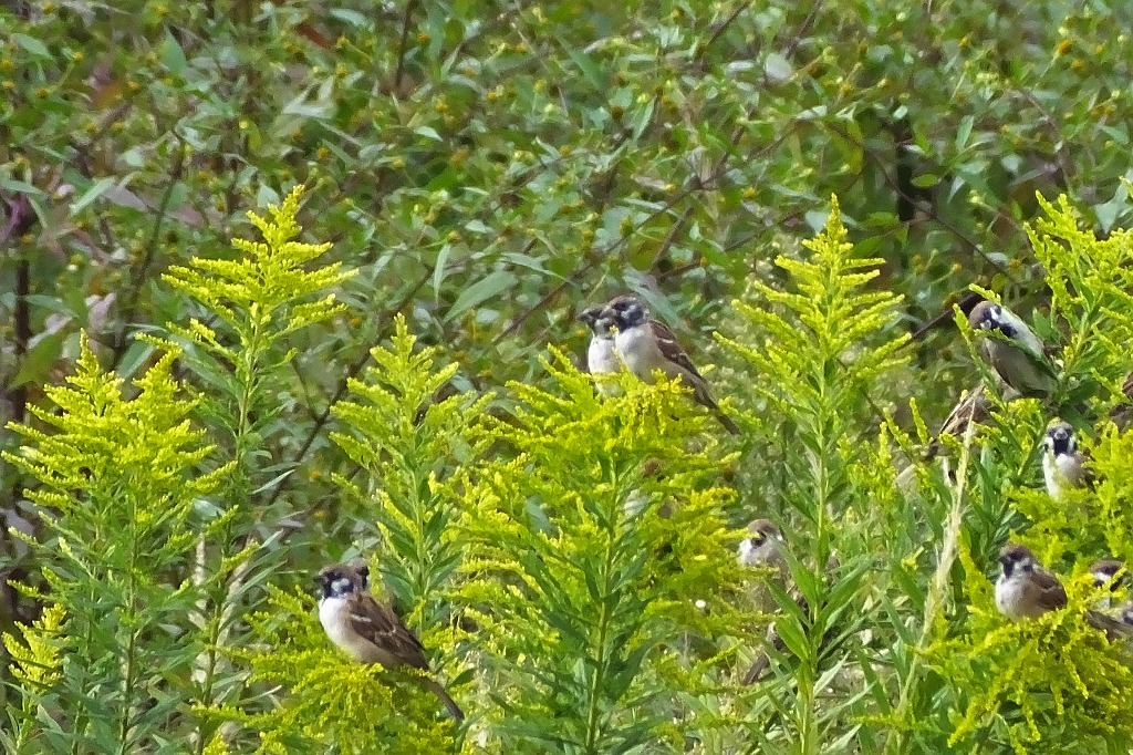 b0236251_11413030.jpg