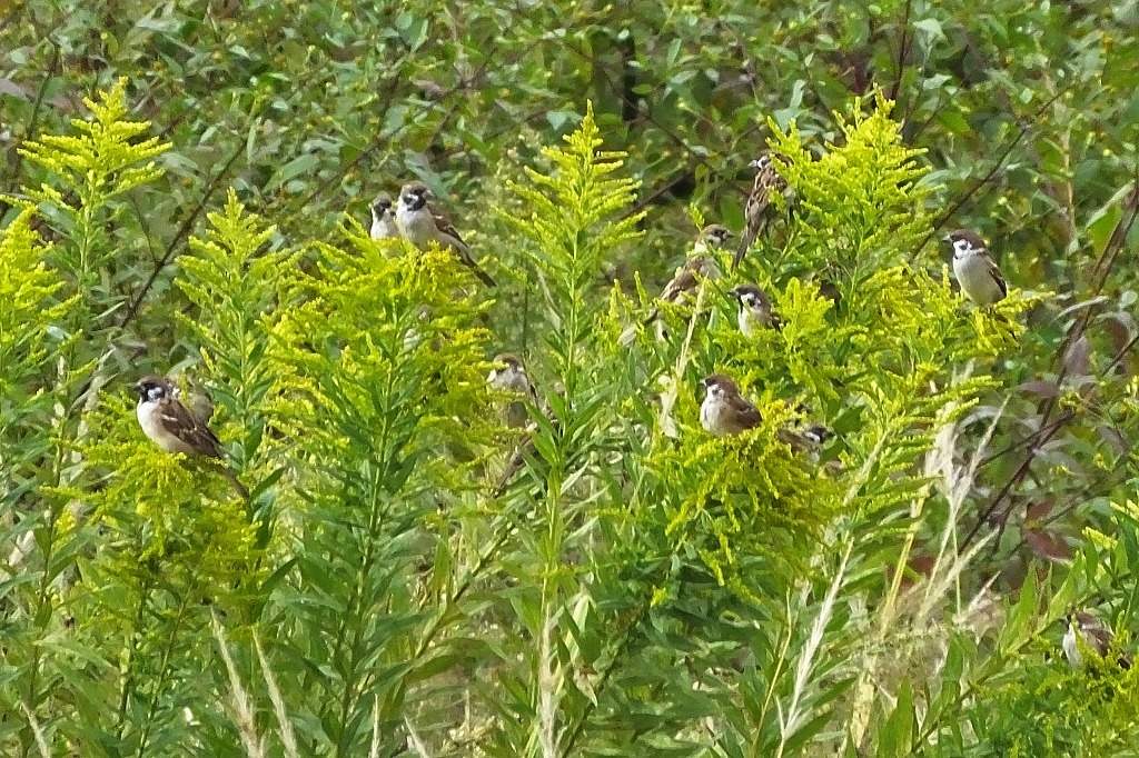 b0236251_11413411.jpg