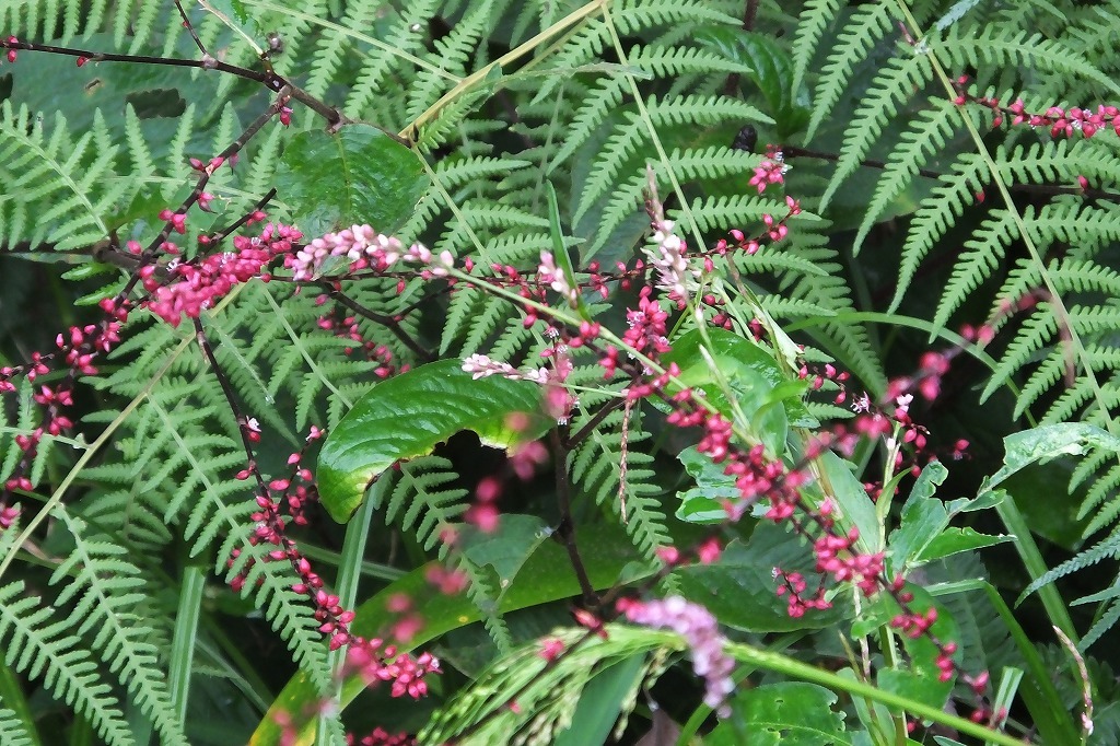 b0236251_11473891.jpg