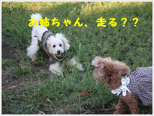b0175688_22413366.gif