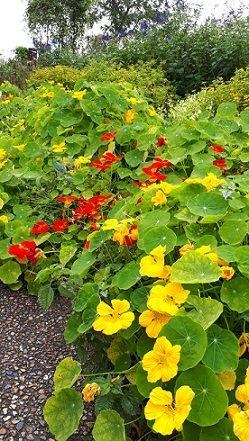 b0366199_21152148.jpg