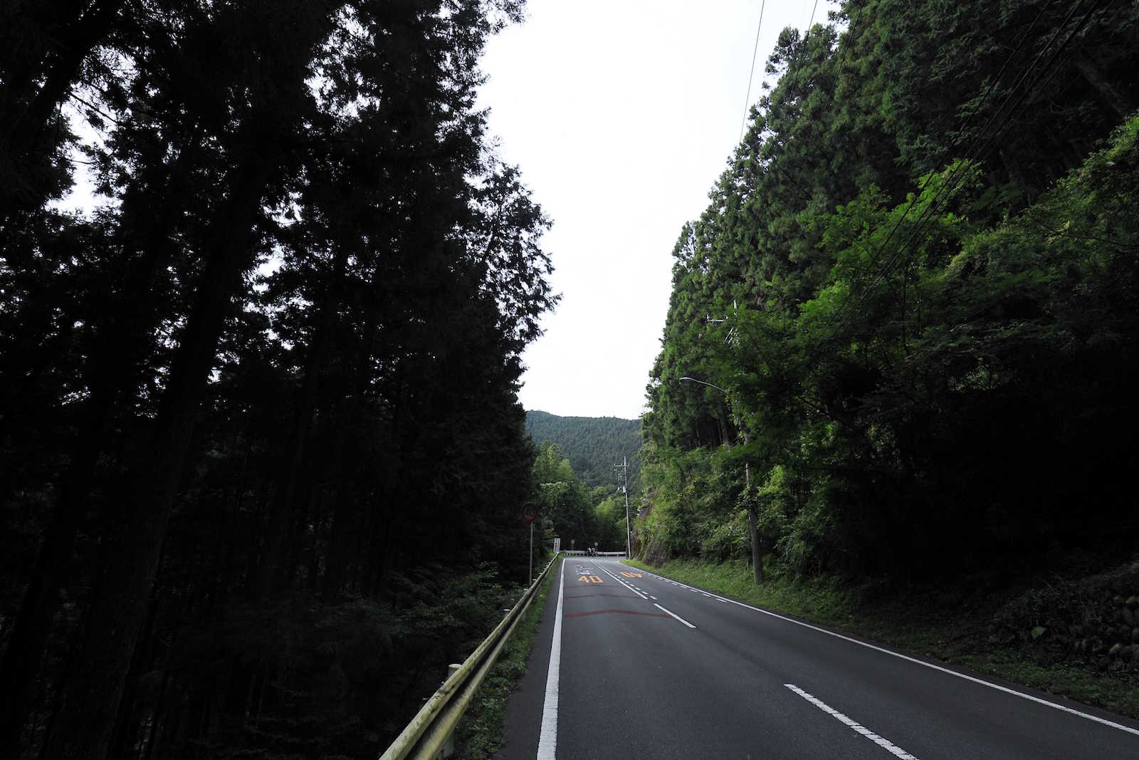 c0072801_537778.jpg