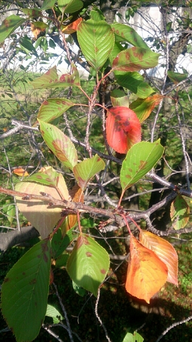 d0347303_00355631.jpg