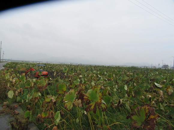 f0231709_09405500.jpg