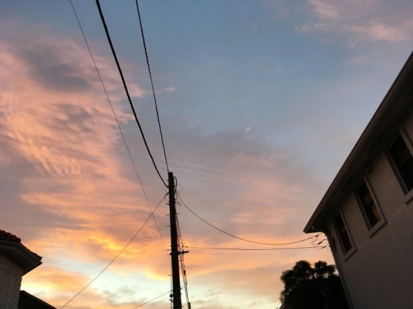 f0369014_10381195.jpg