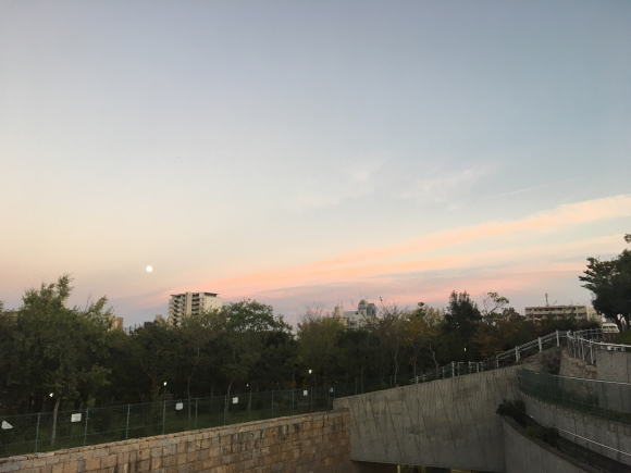 a0098418_22190658.jpg