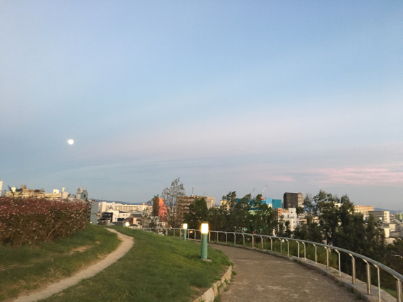 a0098418_22191141.jpg