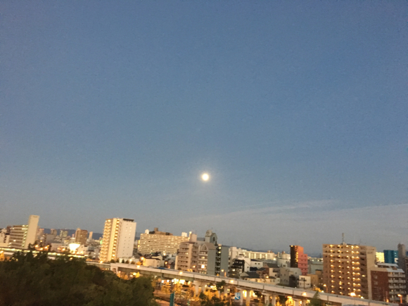 a0098418_22241088.jpg
