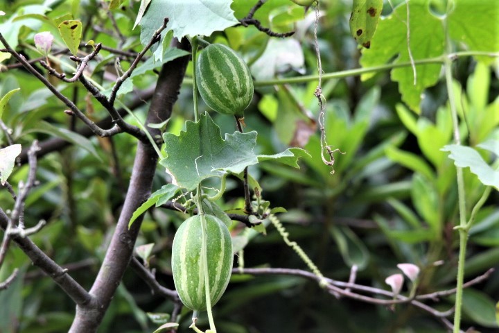 f0354923_10151641.jpg