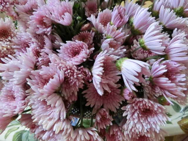 f0354923_10182491.jpg