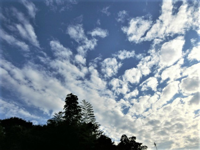 f0354923_11010357.jpg