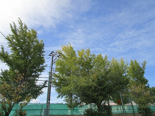 c0327752_15512871.jpg