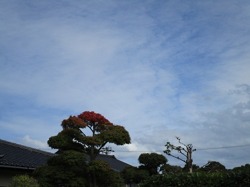 c0327752_15515098.jpg