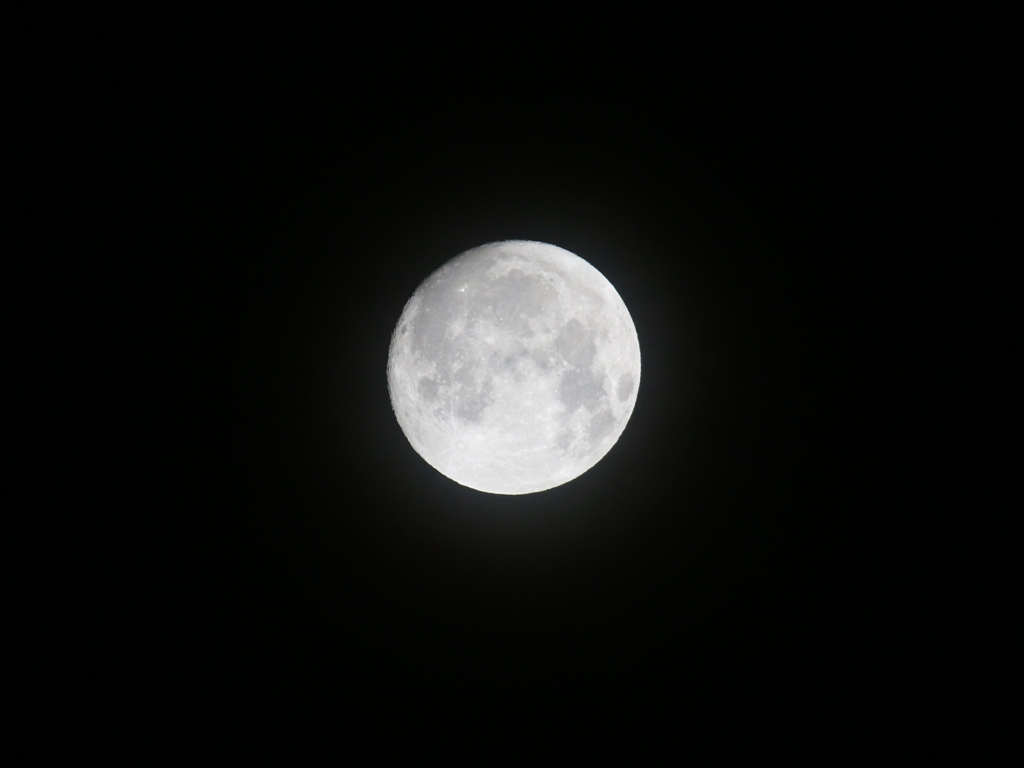 a0221859_2255266.jpg
