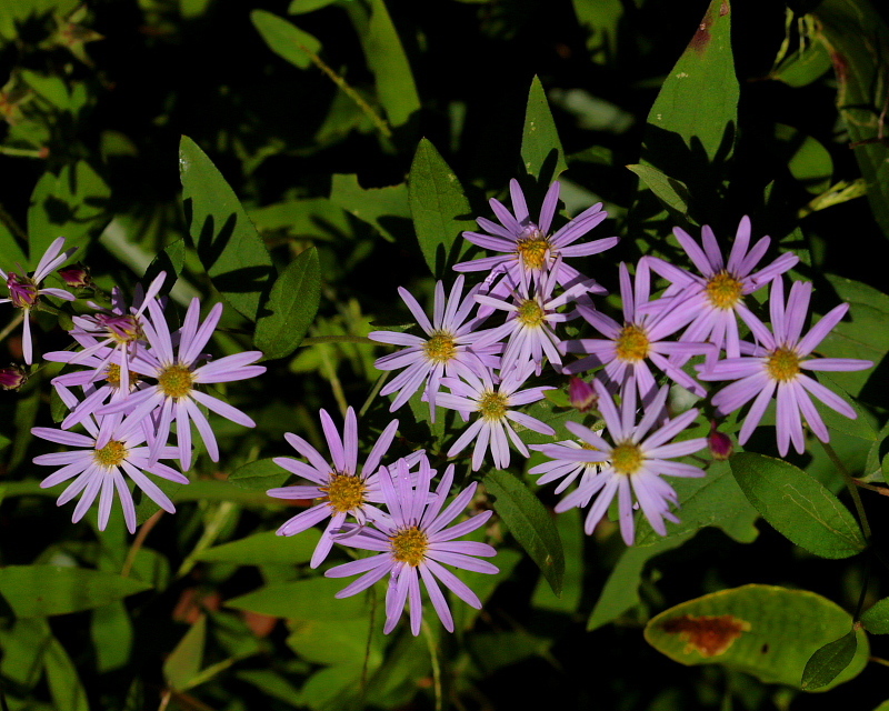 c0305565_17383007.jpg