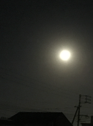 a0337807_21051557.png