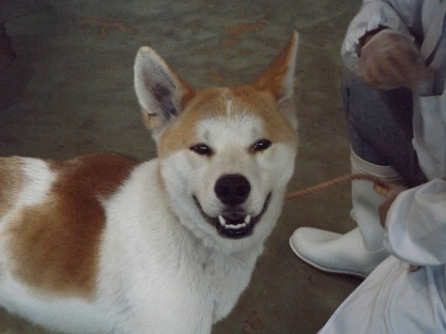 f0078320_14322326.jpg