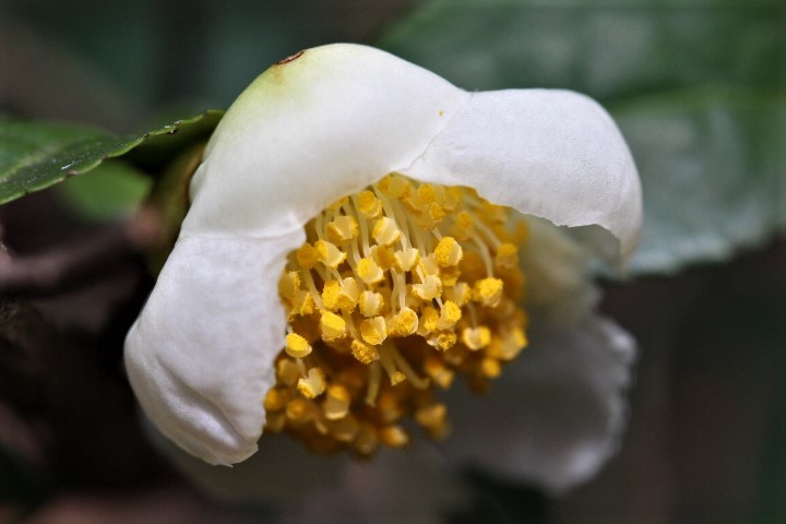 f0354923_22053533.jpg