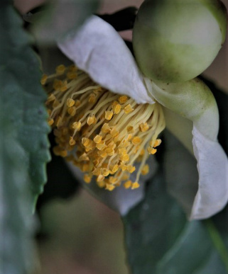 f0354923_23412978.jpg