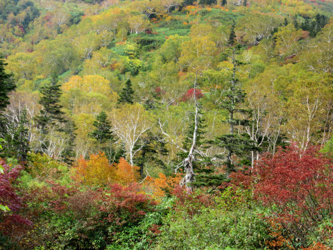 f0002533_09400881.jpg