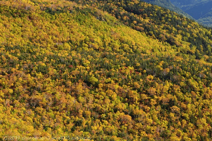 e0362037_21570547.jpg