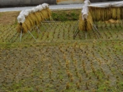 c0330749_22595446.jpg