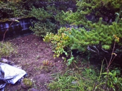 c0330749_22595774.jpg