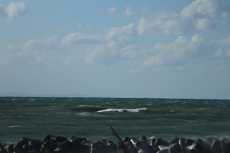 b0250154_20414979.jpg