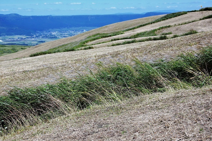 c0248473_16423160.jpg
