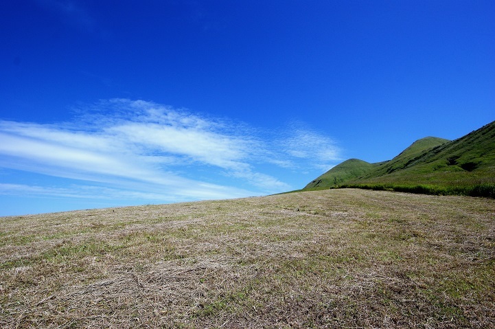 c0248473_16424475.jpg