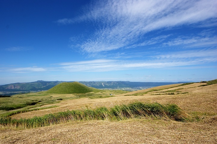 c0248473_16431927.jpg