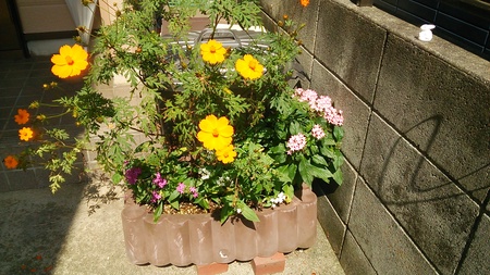 c0057776_052430.jpg
