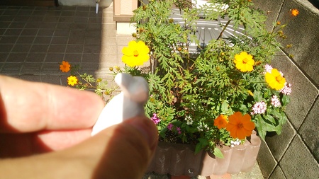 c0057776_052522.jpg