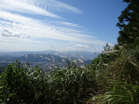 d0340681_21215391.jpg