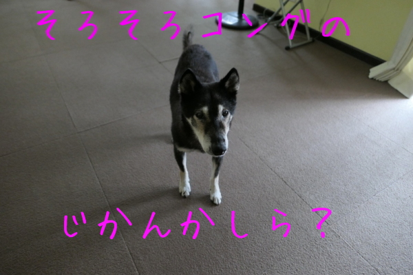 f0369014_14401887.jpg