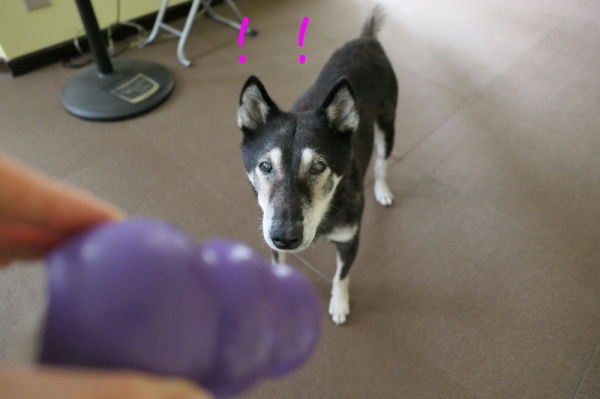 f0369014_14423496.jpg